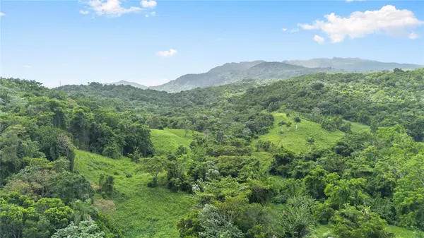 968 BO. ZARZAL, Rio Grande, PR 00745