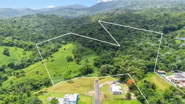 968 BO. ZARZAL, Rio Grande, PR 00745