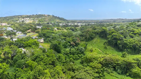 968 BO. ZARZAL, Rio Grande, PR 00745