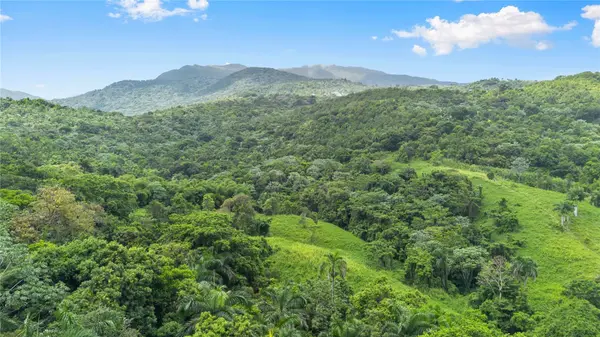 968 BO. ZARZAL, Rio Grande, PR 00745