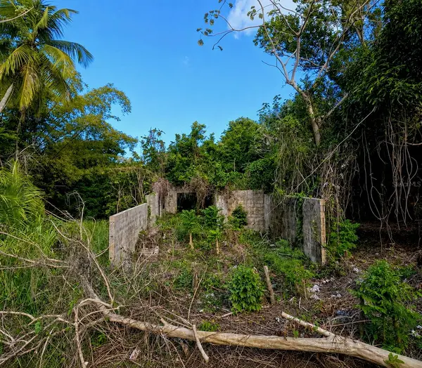 PR-982 KM 2.3, Fajardo, PR 00738
