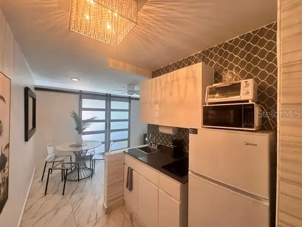 ESJ Tower AVE ISLA VERDE #155, Carolina, PR 00979