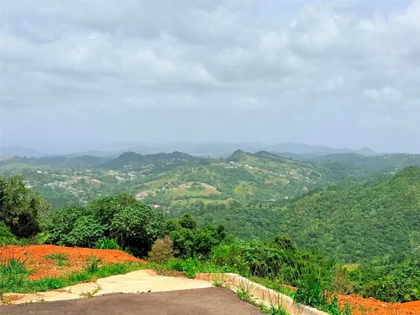 PR 770 KM 2.9 PARCELA 3 PALO HINCADO, Barranquitas, PR 00794