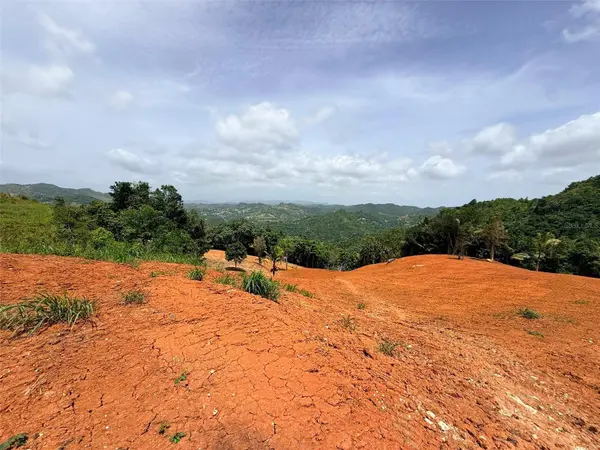 PR 770 KM 2.9 PARCELA 3 PALO HINCADO, Barranquitas, PR 00794