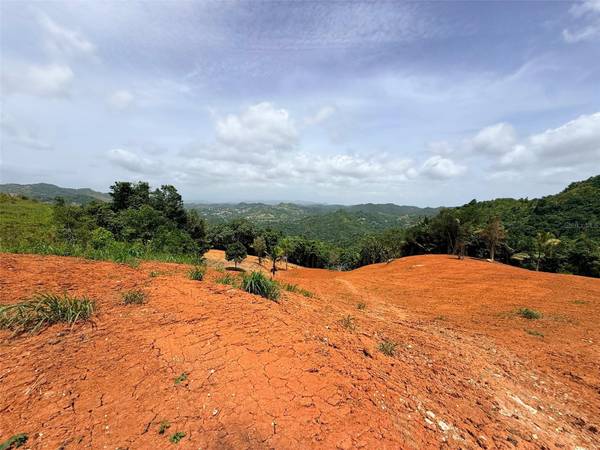 PR 770 KM 2.9 PARCELA 3 PALO HINCADO, Barranquitas, PR 00794