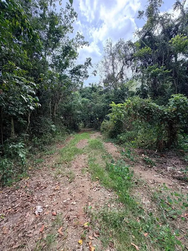 CARR 758 KM 2.7 BO LOS RIOS, Patillas, PR 00723