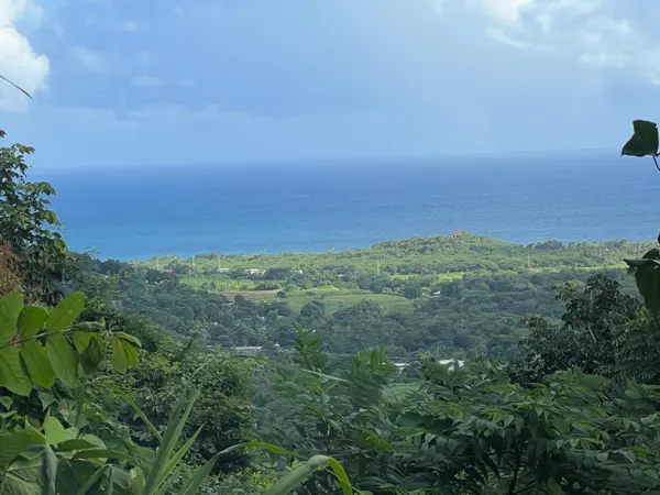 CARR 758 KM 2.7 BO LOS RIOS, Patillas, PR 00723