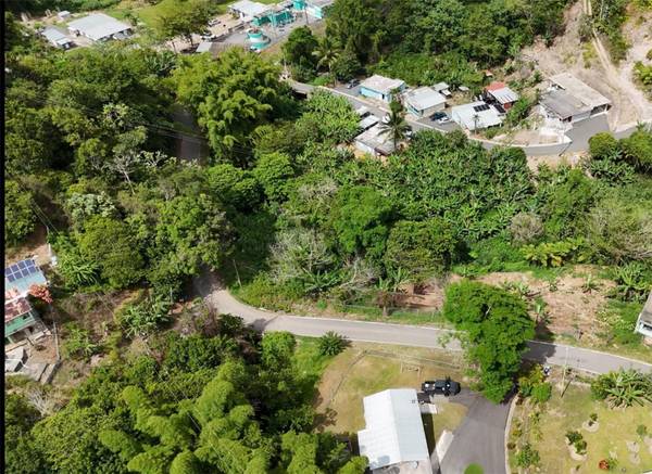 131 GUILARTE, Adjuntas, PR 00601