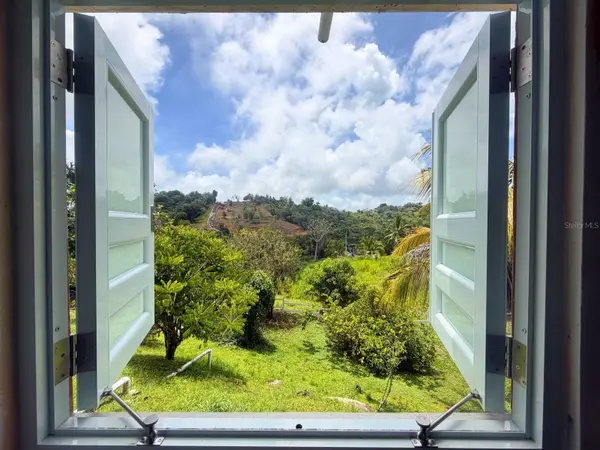 BO MONTONES CARR 917, Las Piedras, PR 00771