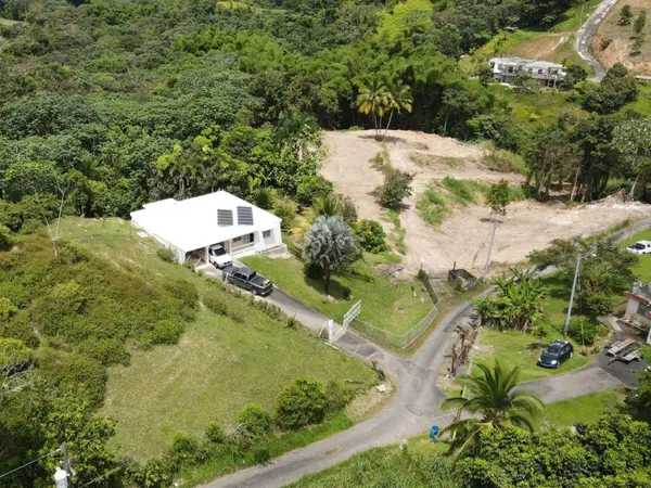 BO MONTONES CARR 917, Las Piedras, PR 00771