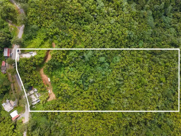 Carr 149 FINCA VILLA AZUL, Juana Diaz, PR 00795