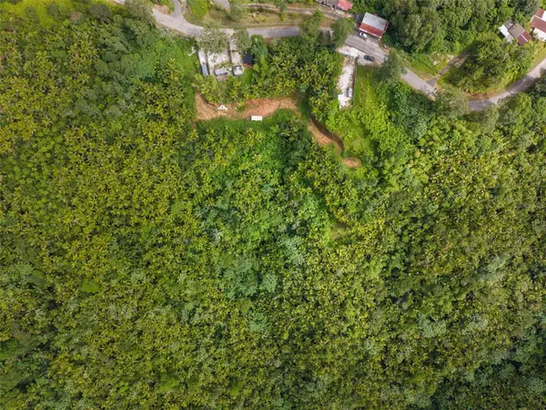 Carr 149 FINCA VILLA AZUL, Juana Diaz, PR 00795