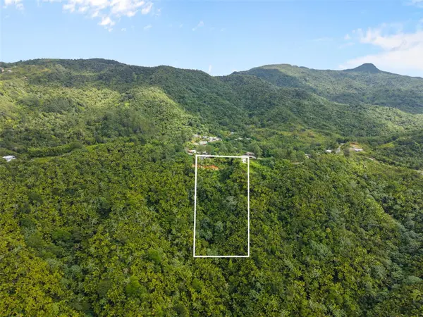 Carr 149 FINCA VILLA AZUL, Juana Diaz, PR 00795