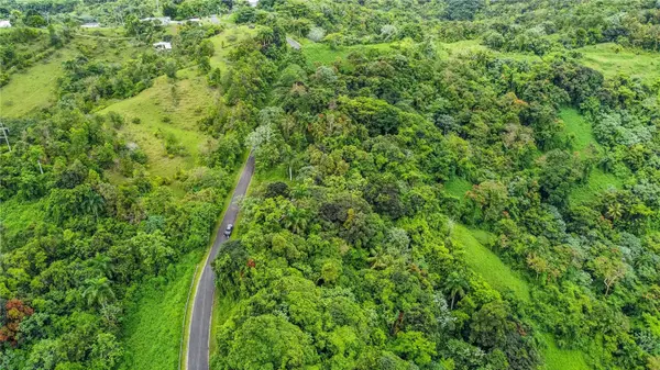 Address not disclosed, Naguabo, PR 00718