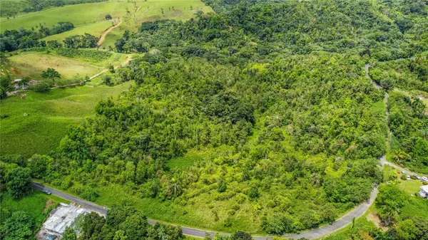 Address not disclosed, Ceiba, PR 00735