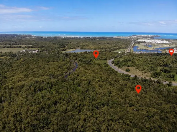 CARR. 955, Rio Grande, PR 00745