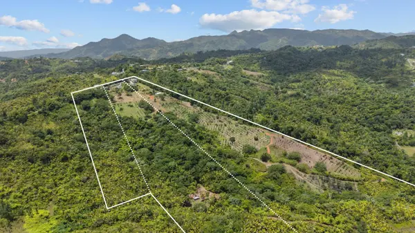 Carretera 143 KM 5.7, Utuado, PR 00641