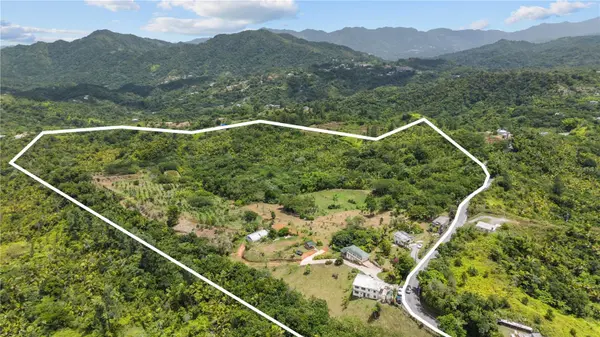Carretera 143 KM 5.7, Utuado, PR 00641