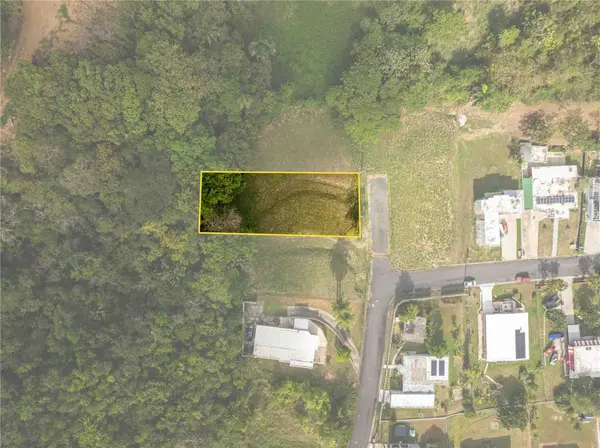98 NARANJO VALLEY, CALLE 4, Fajardo, PR 00738