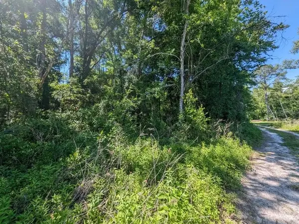 SE 43RD TER, Belleview, FL 34420