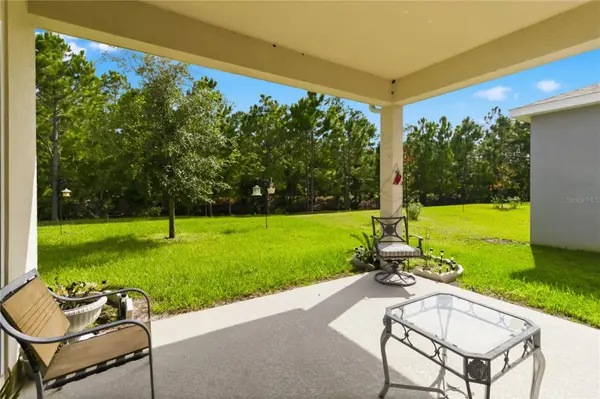 2916 HOODED CRANE CV, St Cloud, FL 34773