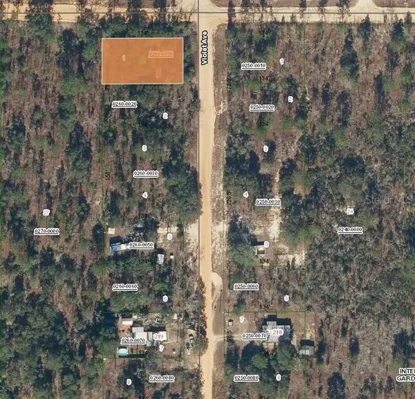 231 VIOLET AVE, Interlachen, FL 32148