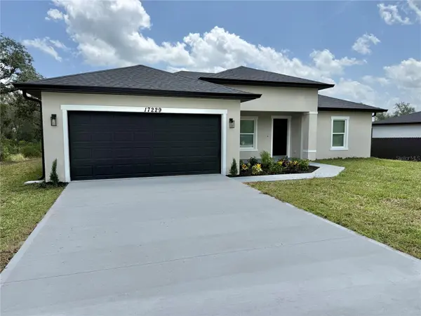 17229 SW 42ND TER, Ocala, FL 34473