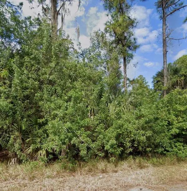 340 NATHAN AVE, Lehigh Acres, FL 33974