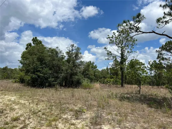 3309 W HAMPSHIRE BLVD, Citrus Springs, FL 34433