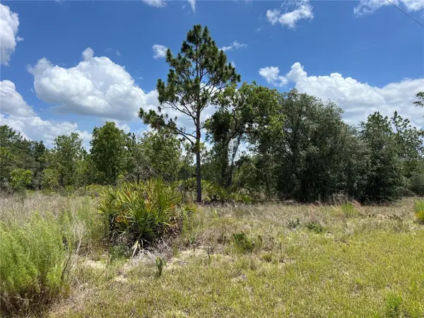 3309 W HAMPSHIRE BLVD, Citrus Springs, FL 34433