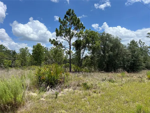 3323 W HAMPSHIRE BLVD, Citrus Springs, FL 34433