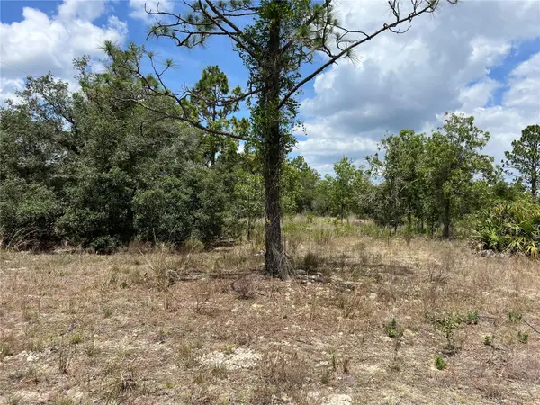 3323 W HAMPSHIRE BLVD, Citrus Springs, FL 34433