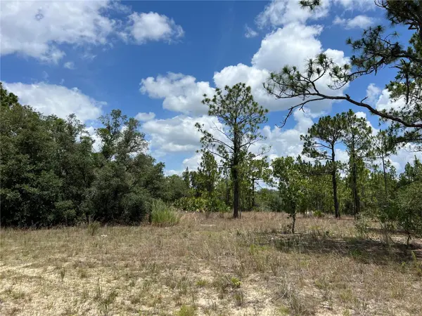 3323 W HAMPSHIRE BLVD, Citrus Springs, FL 34433