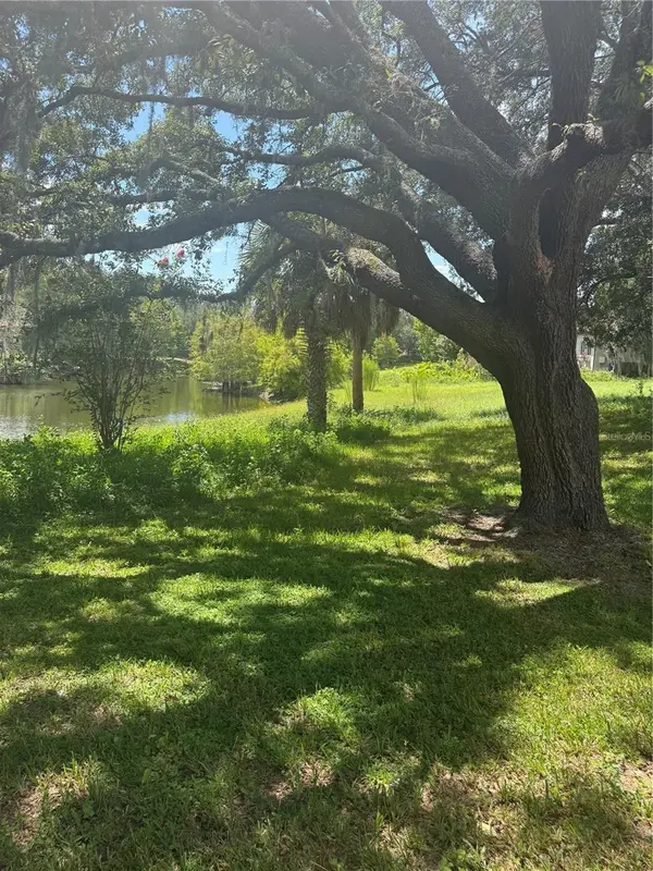 PARK RIDGE GOTHA RD, Windermere, FL 34786