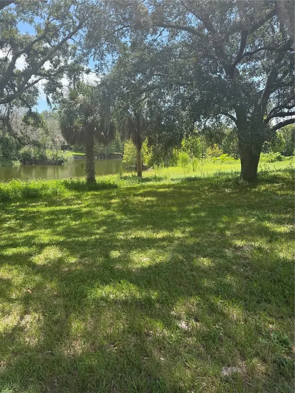 PARK RIDGE GOTHA RD, Windermere, FL 34786