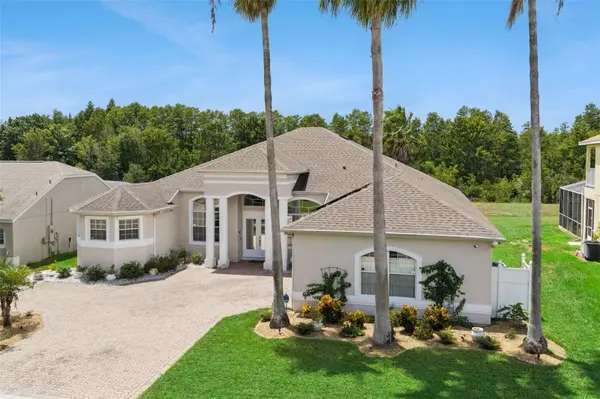141 BIRKDALE ST, Davenport, FL 33897