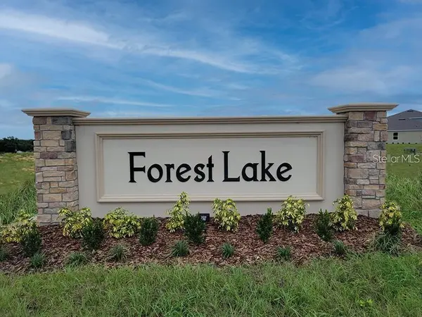 1847 BUCKEYE RD, Davenport, FL 33837