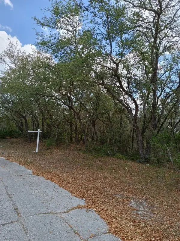 429 NAPLES CT, Kissimmee, FL 34759