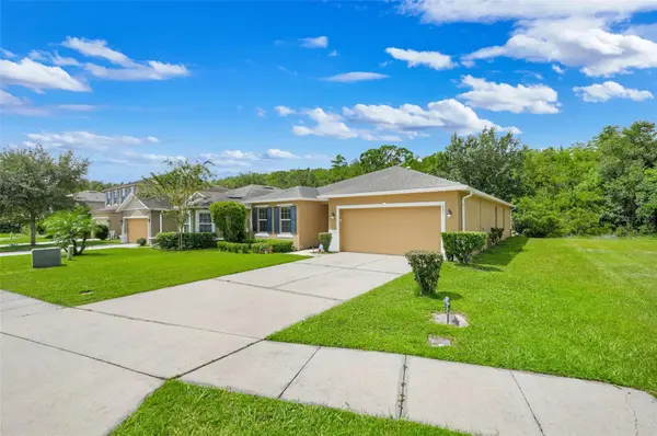 221 DAIGLEDOG ST, St Cloud, FL 34772