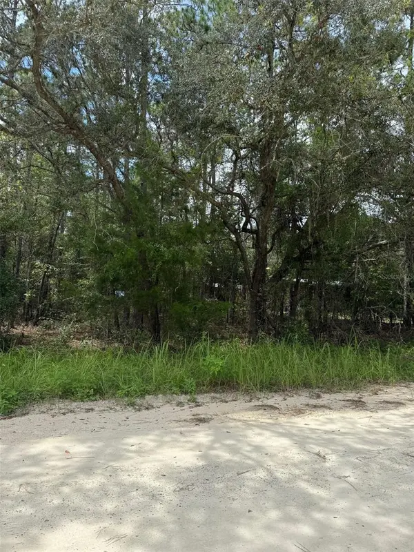 4500 SW 175 CT, Dunnellon, FL 34432