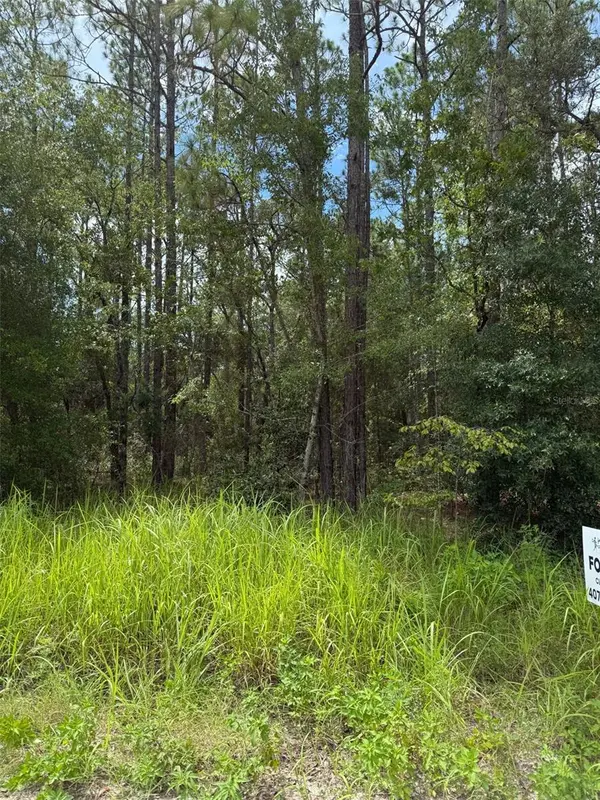 4500 SW 175 CT, Dunnellon, FL 34432