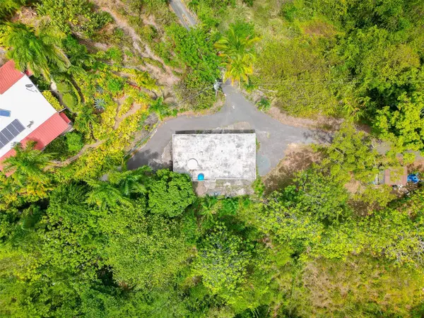 Address not disclosed, Ciales, PR 00638