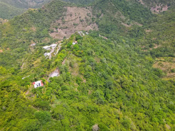 Address not disclosed, Ciales, PR 00638