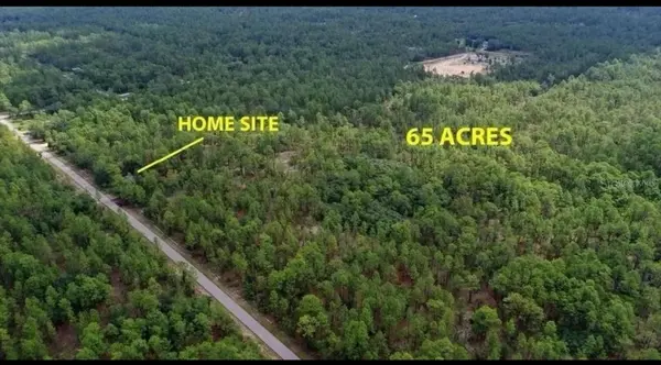 SW OBEE RIDGE RD, Dunnellon, FL 34431