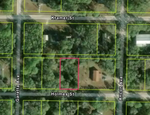 35415 HOLMES ST, Webster, FL 33597