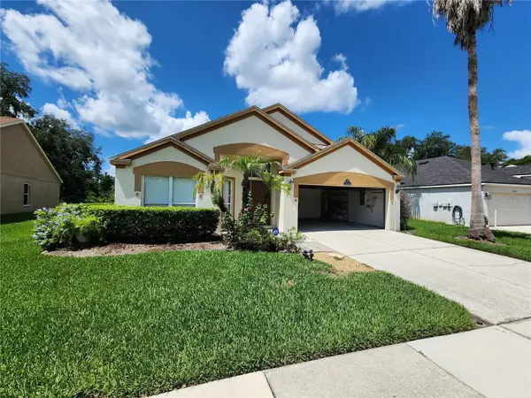 30702 IVERSON DR, Wesley Chapel, FL 33543
