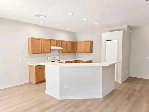 1186 EMERALD HILL WAY, Valrico, FL 33594