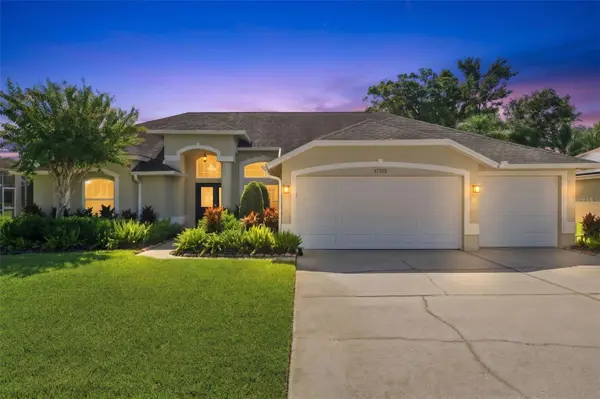 17322 HUBERS CT, Odessa, FL 33556
