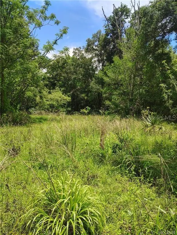 5236 N OLDWOOD PT, Hernando, FL 34442
