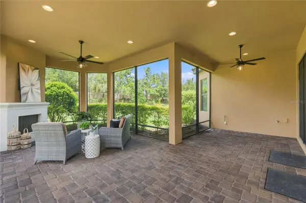 11301 JUGLANS DR, Odessa, FL 33556